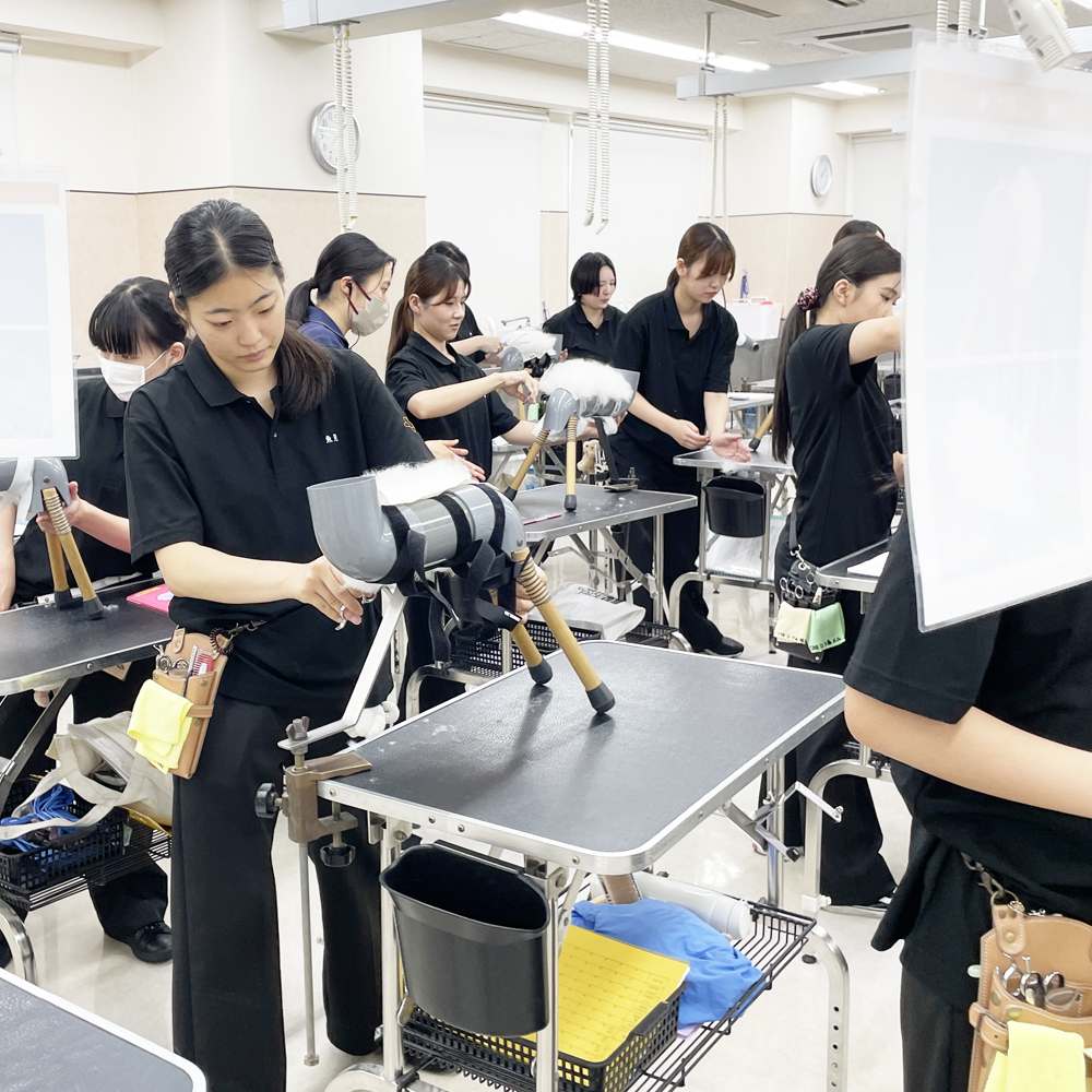 １年生はグルーミングとカット強化☆